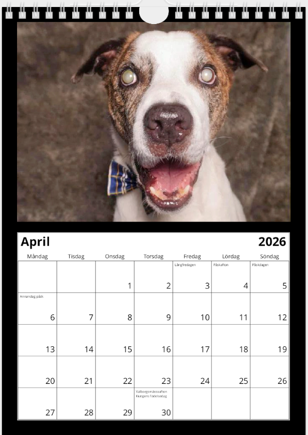 Black Dog väggkalender 2026