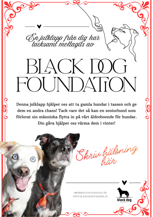 Black Dog All I want for Christmas- julgåva