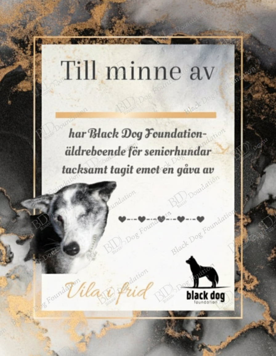 Minnesbrev begravning donation till Black Dog