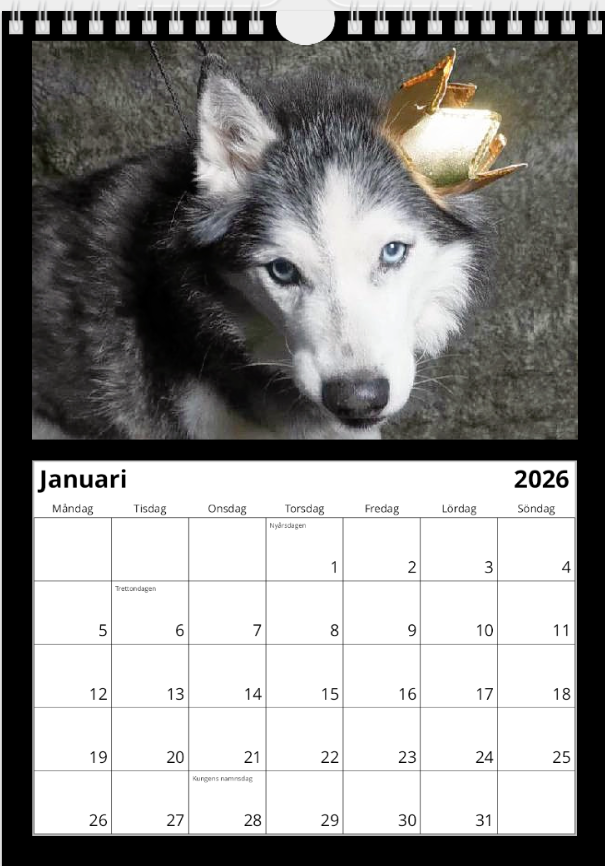 Black Dog väggkalender 2026