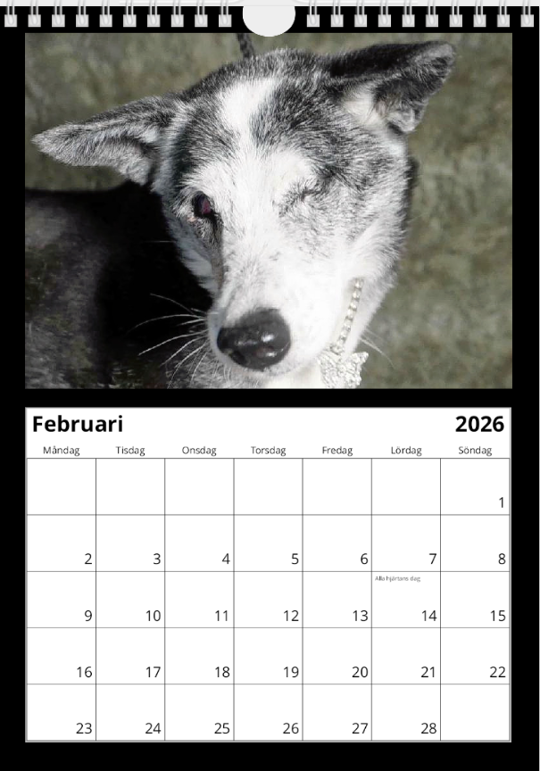 Black Dog väggkalender 2026