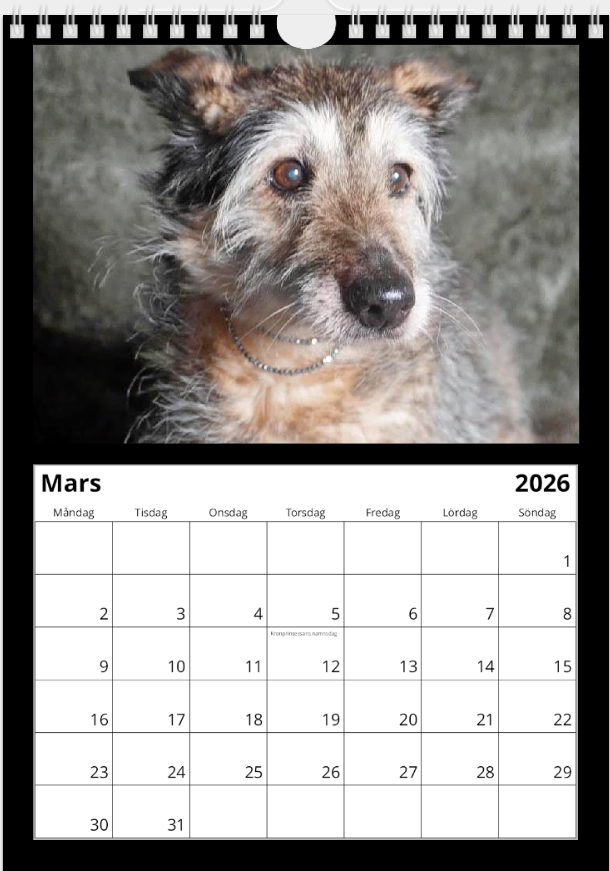 Black Dog väggkalender 2026
